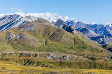 Denali Milli Parkı Alaska sahne peyzaj erken sonbahar
