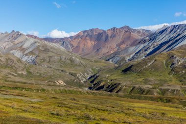 Denali Milli Parkı Alaska sahne peyzaj erken sonbahar