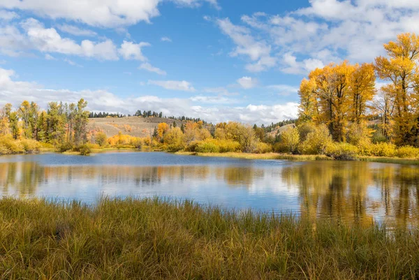 Paesaggio Scenografico Riflessione Autunnale Nel Wyoming — Foto Stock