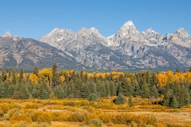 sonbaharda Tetons doğal bir manzarada