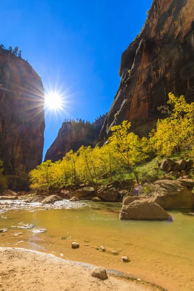 Zion National Park Utah Sonbaharda Doğal Peyzaj — Stok fotoğraf