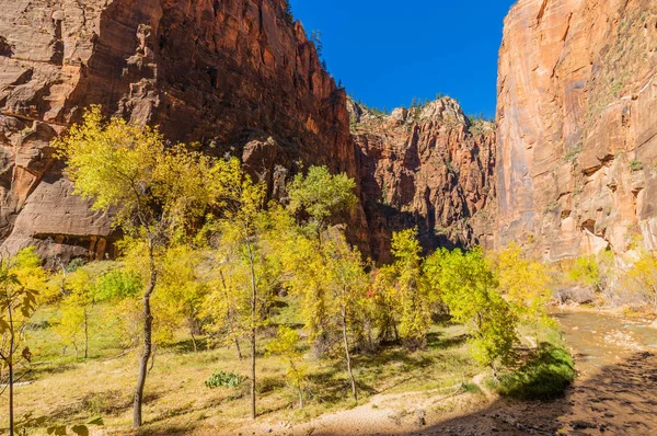 Paysage Pittoresque Parc National Sion Utah Automne — Photo