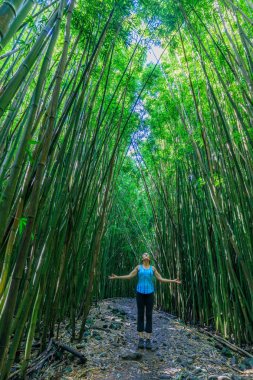 pratik Yoga Maui bir bambu ormandaki bir kadın