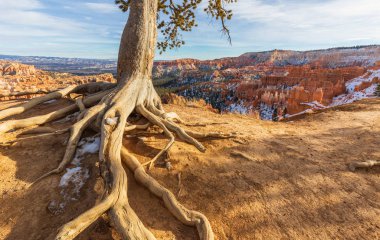 doğal kış manzara Bryce Canyon Milli Parkı Utah