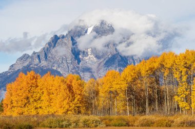 grand teton Milli Parkı Wyoming manzara sonbahar manzara