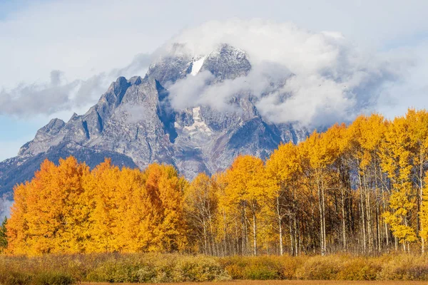 Malebný Podzim Krajina Wyomingu Národní Park Grand Teton — Stock fotografie