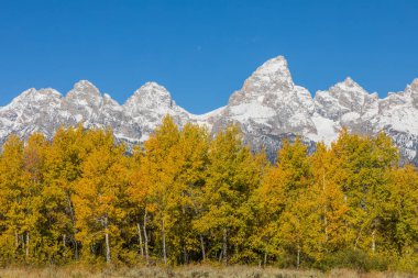 Grand Teton Ulusal Parkı Wyoming 'de güzel bir sonbahar manzarası.