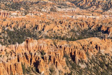 Kışın Bryce Canyon Milli Parkı Utah peyzaj doğal