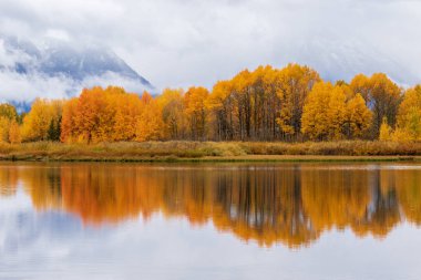Tetons 'da manzaralı bir sonbahar yansıması manzarası