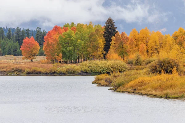 Paesaggio Scenico Riflessione Autunnale Nei Teton — Foto Stock