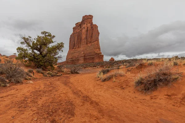 Det Natursköna Karga Landskapet Arches National Park Utah — Stockfoto