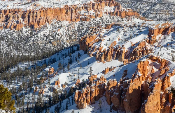 Snow Covered Scenic Landscape Bryce Canyon National Park Utah Winter — 스톡 사진