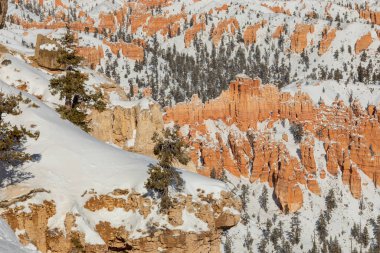 Bryce Canyon Ulusal Parkı Utah 'ta kışın manzaralı bir kar manzarası.