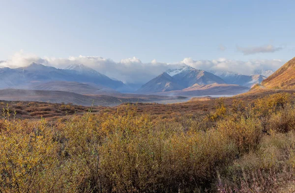 Живописный Денали Национальный Парк Аляска Осенний Пейзаж — стоковое фото
