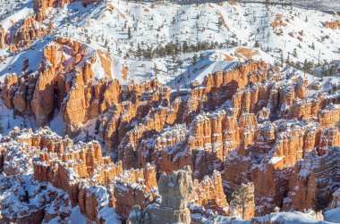 Bryce Canyon Ulusal Parkı Utah 'ta kışın manzaralı bir kar manzarası.