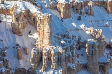 Bryce Canyon Ulusal Parkı Utah 'ta kışın manzaralı bir kar manzarası.