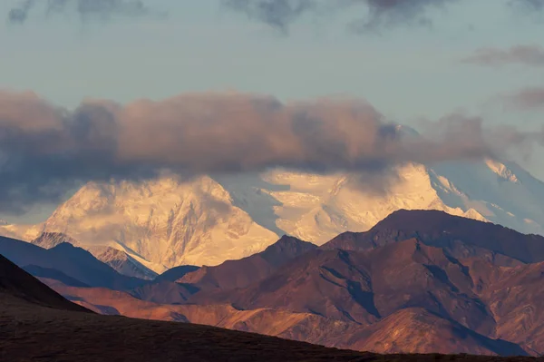 Scenic Landscape Denali National Park Alaska Fall — ストック写真