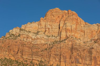 manzaralı Zion Ulusal Parkı Utah manzarası