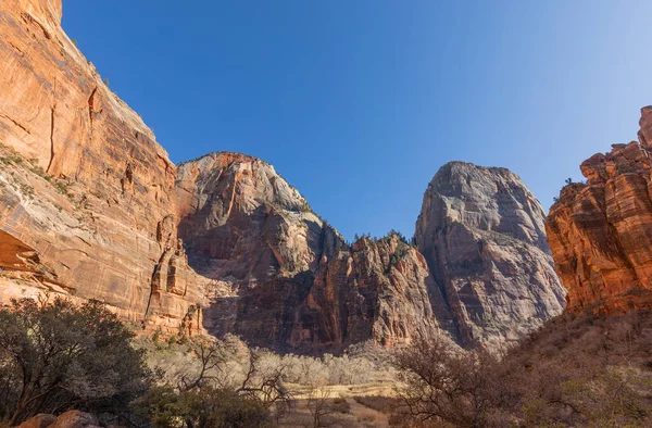 Manzaralı Zion Ulusal Parkı Utah Manzarası — Stok fotoğraf