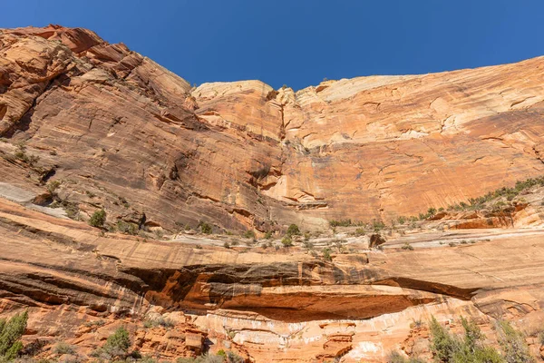 Scenic Zion National Park Utah Landscape — Stock Photo, Image