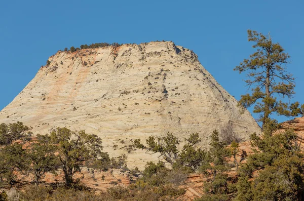 Manzaralı Zion Ulusal Parkı Utah Manzarası — Stok fotoğraf