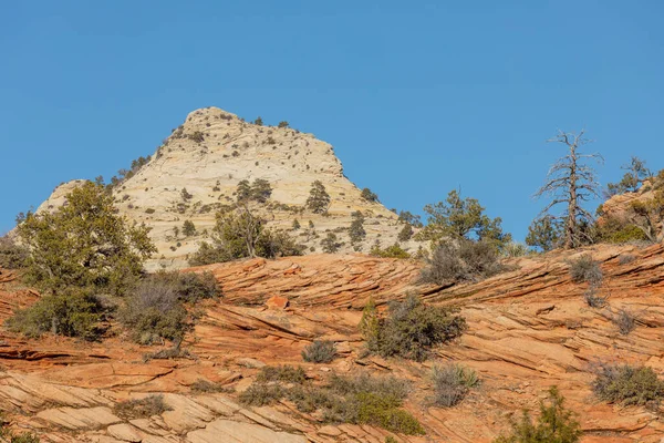 Scenic Zion National Park Utah Landscape — Stock Photo, Image