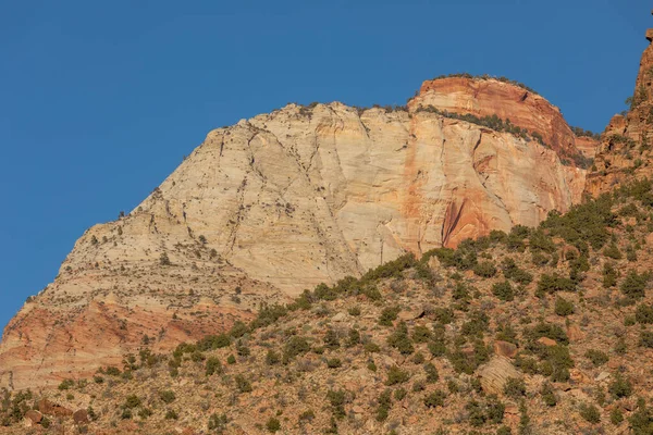 Scenic Zion National Park Utah Landscape — Stock Photo, Image