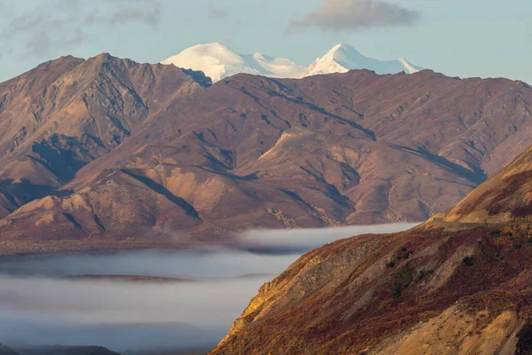 Scenic Autumn Landscape Denali National Park Alaska — Stock Photo, Image