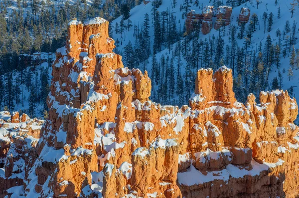 Paisaje Invernal Escénico Parque Nacional Bryce Canyon Utah —  Fotos de Stock