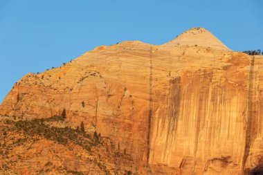 Zion National Park Utah doğal peyzaj