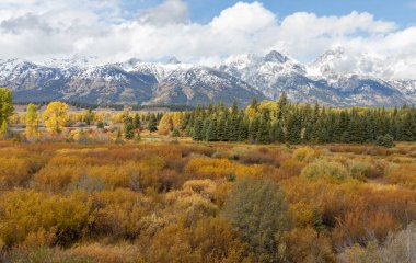 Wyoming Tetonları 'nda manzaralı bir sonbahar manzarası.