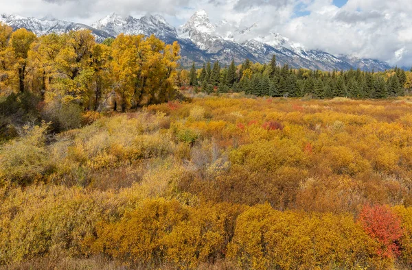 Een Schilderachtig Herfstlandschap Tetons Van Wyoming — Stockfoto