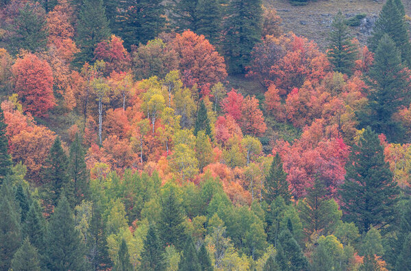 a scenic autumn landscape in the Snake River Canyon Idaho