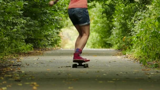 Cultura juvenil. Chica con salto de monopatín en el parque de verano. Movimiento lento — Vídeo de stock