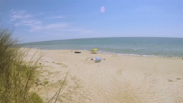 Sea panorama . Summer time. — Stock Video