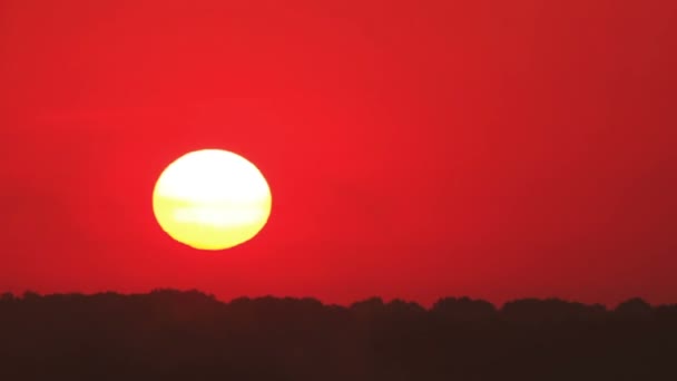 Sunrise time with red sun and   Time lapse  without birds — Stock Video