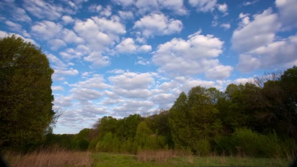 Landschaft mit Wolken, blauem Himmel und Wald. Zeitraffer. 4k ( 4096x2304) — Stockvideo