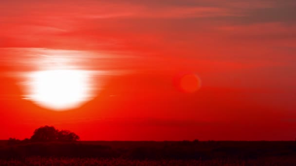 赤い雲の夕焼けです。鳥なしの時間経過。4 k (4096 x 2304) — ストック動画