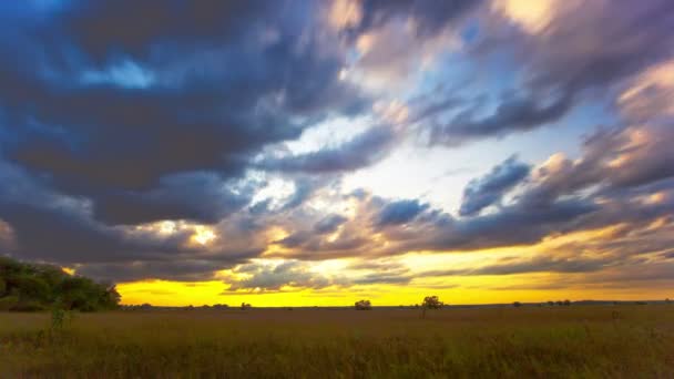 Поле с облаками травы. 4K 4096x2304, Заход Солнца — стоковое видео