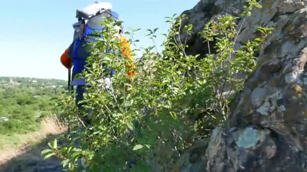 Chica excursionista turista con palos de seguimiento y mochila sube por la pista de montaña. , Steadicam shot, Escena 3 4K, 3840x2160 — Vídeo de stock