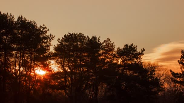 Облака с восходом солнца и деревьями. 4K (4096x2304) — стоковое видео