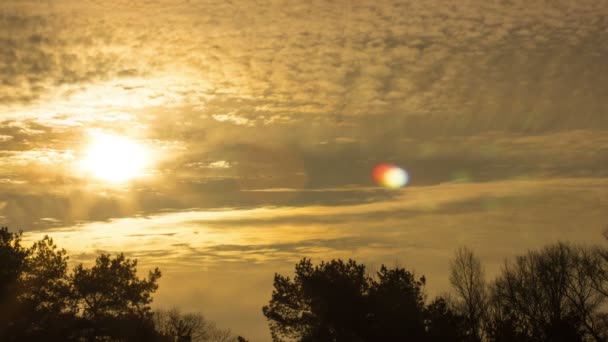 Nubes naranjas con salida del sol y árboles.4K (4096x2304) Time lapse without birds, RAW output — Vídeos de Stock