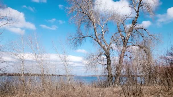 Nuvole e fiume Paesaggio .4K (4986x2304) Lasso di tempo senza uccelli, uscita RAW — Video Stock