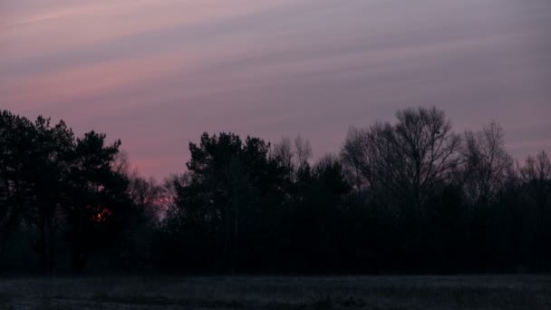 Árvores e nascer do sol com nuvens .4K (4096x2304) Time lapse without birds, RAW output — Vídeo de Stock