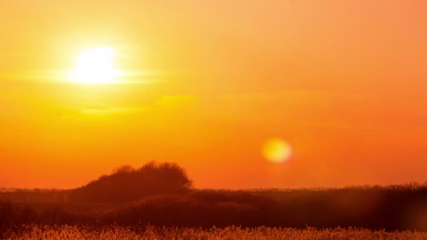 Schöne Abendlandschaft Sonnenuntergang in 4k. Rohertrag, ohne Vögel — Stockvideo