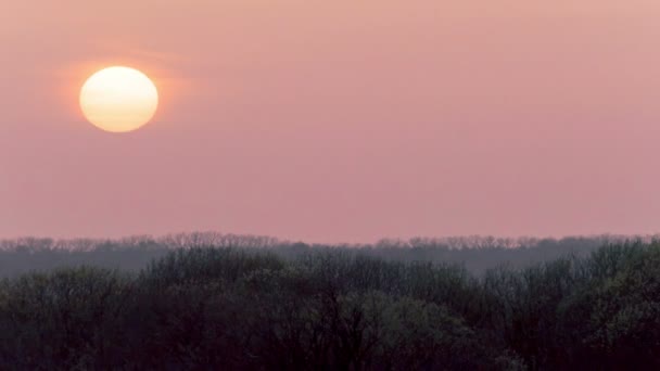 Schöne Abendlandschaft Sonnenuntergang in 4k. Rohertrag, ohne Vögel — Stockvideo