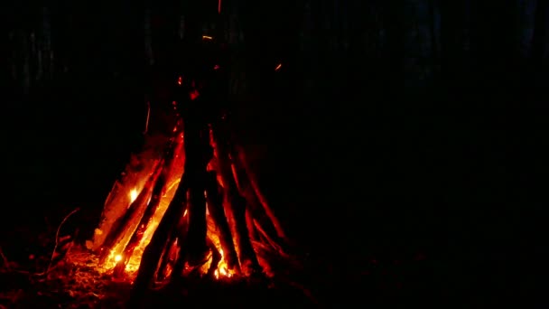 Turystyczna przyjemność jest ognisko w nocy wood.4k strzał. — Wideo stockowe
