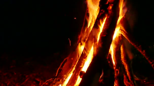 Tourist pleasure is campfire in night  wood with focus approach .4K shot. — Stock Video