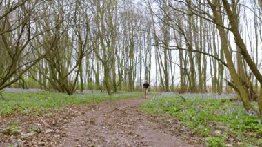 4 k. yetişkin adam uzun yürüyüşe çıkan kimse yeşil bahar orman yolu üzerinde. Sağlıklı yaşam tarzı. 
