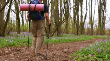 4 k. adam uzun yürüyüşe çıkan kimse yeşil bahar orman yolu üzerinde. Sağlıklı yaşam tarzı. 